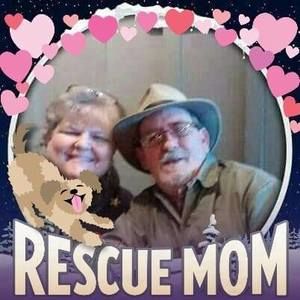 Meet your Posher, Terri